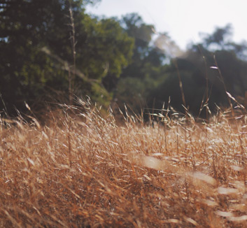 青岛海尔涵保持严谨战术，成功守住胜利