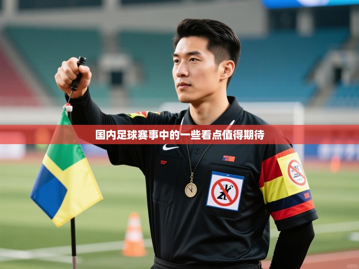 国内足球赛事中的一些看点值得期待  第2张